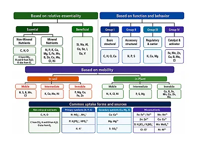 Figure 1. Classification of plant nutrients according to essentiality, function, mobility, and common uptake forms. 