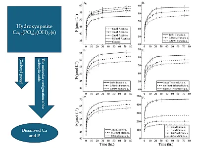 Cumulative release of phosphate (P) during dissolution of hydroxyapatite with and without the addition of acetic acid (A), fumaric acid (B), maleic acid (C), tartaric acid (D), tricarballylic acid (E), and citric acid (F). The dissolution occurred at pH 8.01. Blue arrows indicate that the arrangement ("molecular configuration") of carboxylic acid functional groups is more important to the weathering process than their concentration (brackets). Adapted figure courtesy of Yaniv Fraiberg and Yuji Arai.