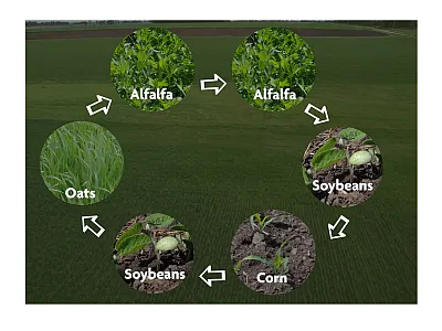 Screenshot from a video, “Managing Weeds on Your Farm,” produced by the Sustainable Agriculture Research and Education (SARE). It can be viewed at https://youtu.be/lATEh46nQ7M.
