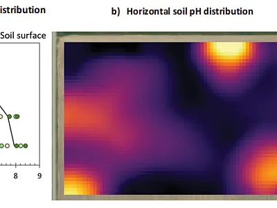 Figure 1. An example of (a) vertical pH distribution across five farms (Jones et al., 2019) and (b) horizontal pH distribution across a 50-ac grower’s field near Billings, MT (courtesy Paul Nugent).