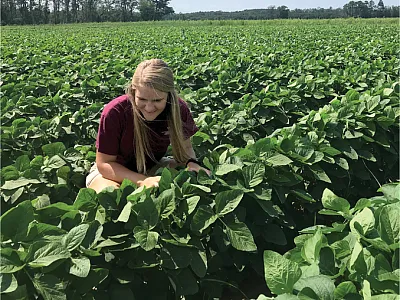 Keren Brooks of Virginia Tech, first author of the study, examines soybean plots in Painter, VA; a site where sulfur fertilizer additions are not currently warranted for soybean production.  Photo courtesy of Keren Brooks.
