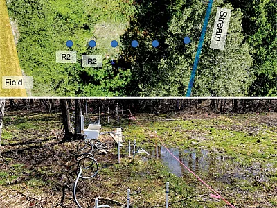 Top: Aerial image of a monitoring transect between an agricultural field and stream to examine the fate of phosphorus in the subsurface of a riparian zone. Bottom: Field equipment transect across a riparian zone in Kintore Creek, Ontario, to monitor phosphorus release and retention in the shallow aquifer. Photos by Shuyang Wang, Western University.