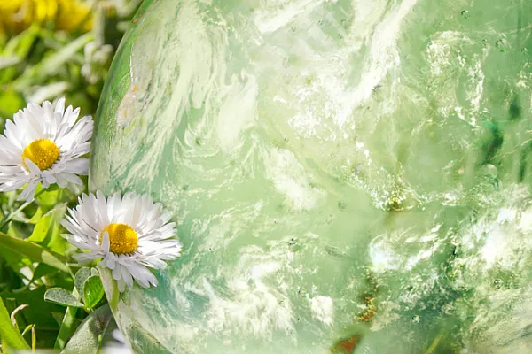 daisies with an imposed image of a world globe