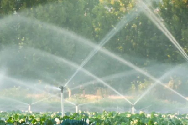 irrigation of crops