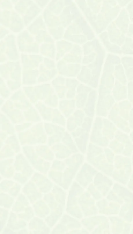 Form background