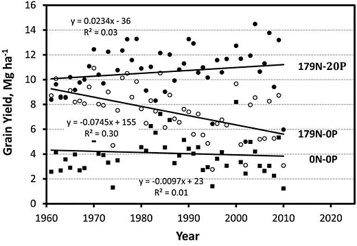 Figure 4. Annual maize grain yields for a longâterm fertilizer study near Tribune, KS, from 1961 to 2010. Untreated control (0Nâ0P; â ), N fertilizer only (179Nâ0P; â) at 179 kg N haâ1, and N + P (179Nâ20P; â) at the same rate of N plus 20 kg P haâ1 (Schlegel & Havlin, 2017).