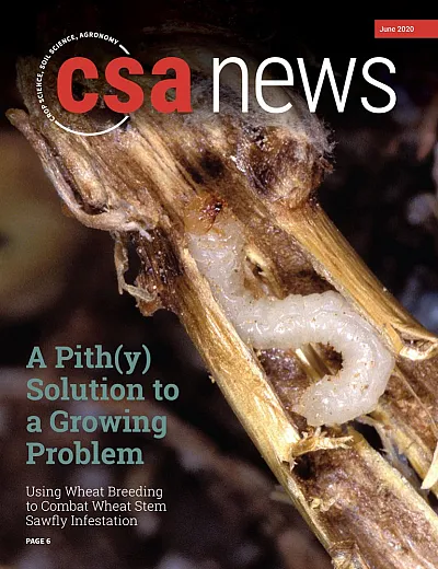 June 2020 Cover