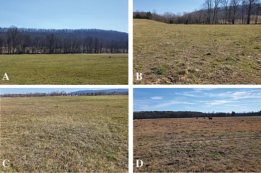 Figure 2. Example pictures of north Georgia grasslands observed in the field assessment by University of Georgia county extension agents in November 2021. Agents were asked to assign a percentage of their countyâs grasslands to four color categories: nearly all green (A), more green than brown (B), more brown than green (C), and nearly all brown (D).