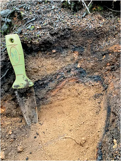 Typical soil profile at the study site, 0â30cm. Photo courtesy of J. Hatten.