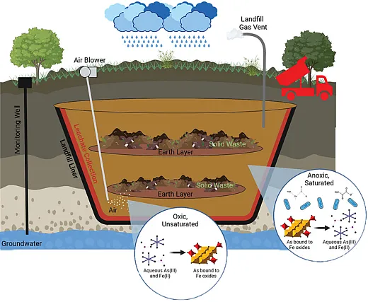 In 2023, Martinus âRienâ van Genuchten received the Wolf Prize in Agriculture âfor his ground-breaking work in understanding water flow and predicting contaminant transport in soils.â This illustration, from a paper in the special section of Vadose Zone Journal by C.M. vanGenuchten et al. (2024; https:// doi.org/10.1002/vzj2.20313), depicts a landfill diagram showing potential arsenic (As) and iron (Fe) reactions in regions consistent with oxic bioreactor landfill construction (oxic, unsaturated regions) and anoxic landfill design (anoxic, saturatedregions). The dark red layer represents the landfill leachate collection system, whereas the black layer represents the landfill liner.