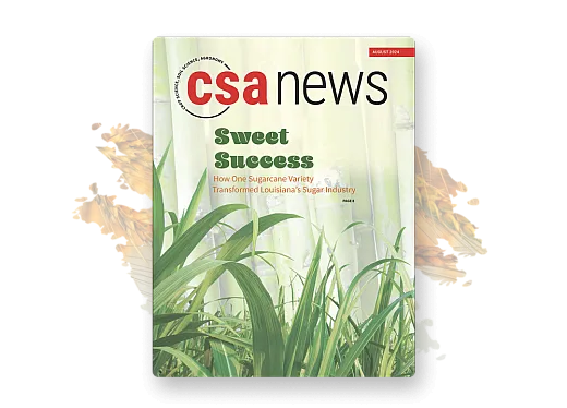 CSA News magazine cover